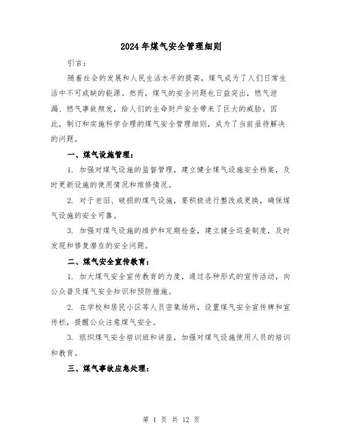 2024年煤气安全管理细则（2篇）