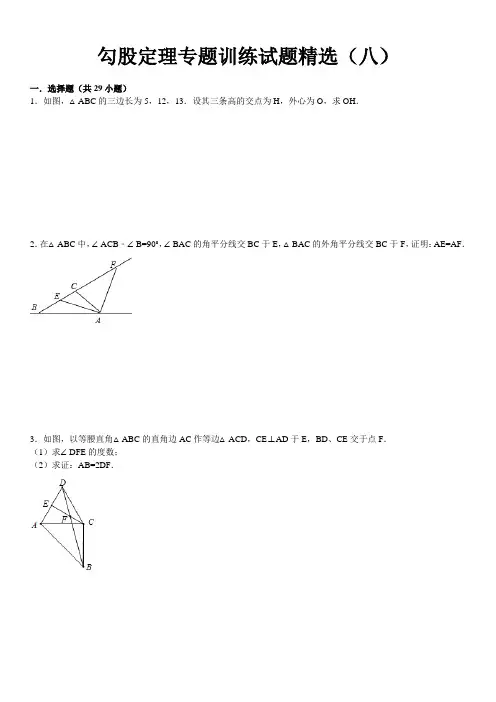 勾股定理专题训练试题精选八附答案