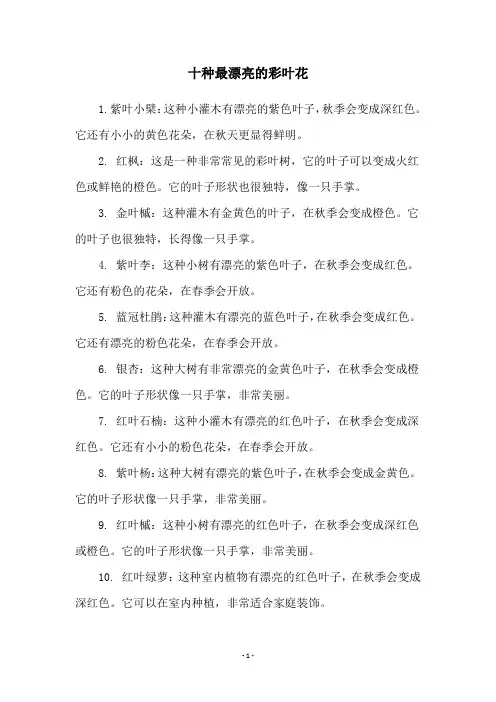 十种最漂亮的彩叶花