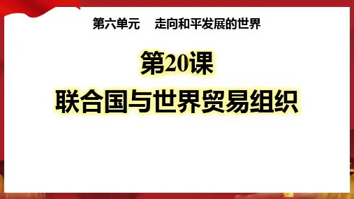 《联合国与世界贸易组织》PPT优质课件