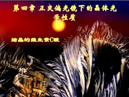 第04章  正交偏光镜下的晶体光学性质