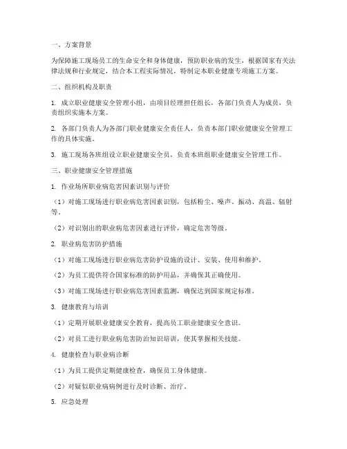职业健康专项施工方案
