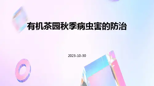 有机茶园秋季病虫害的防治