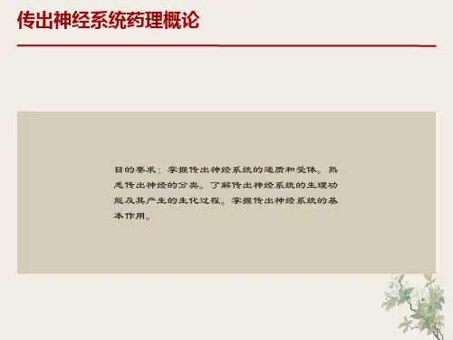 传出神经系药理学概论