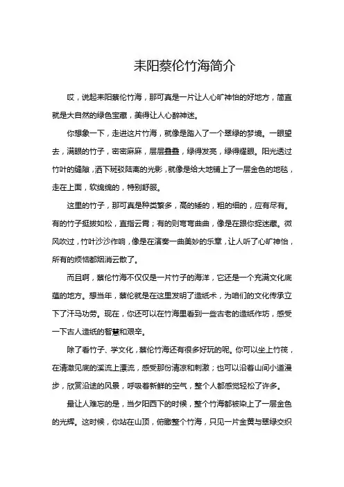 耒阳蔡伦竹海简介