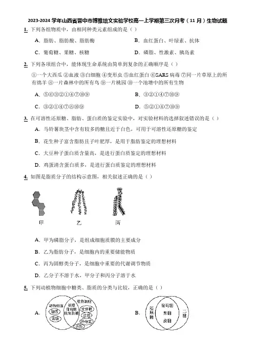 2023-2024学年山西省晋中市博雅培文实验学校高一上学期第三次月考(11月)生物试题