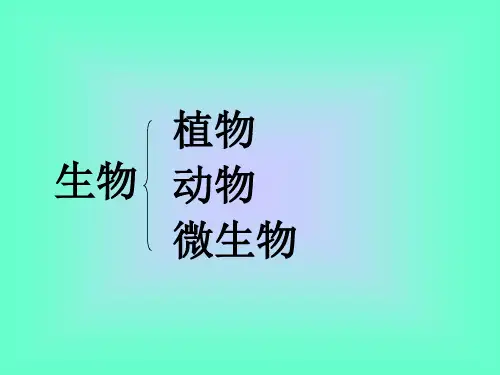 冀少版生物七年级上册第一单元第一章第一节 走进生物实验室课件(32张ppt)
