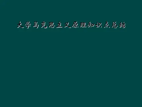 大学马克思主义原理知识点总结
