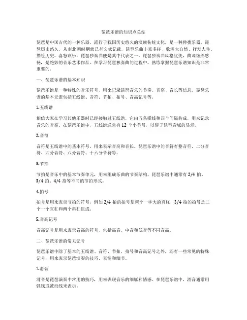 琵琶乐谱的知识点总结