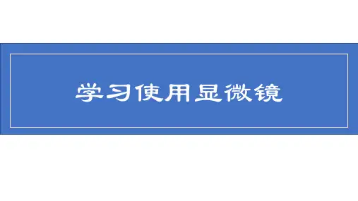 1.2.1学习使用显微镜课件 (共63张PPT)人教版生物七年级上册