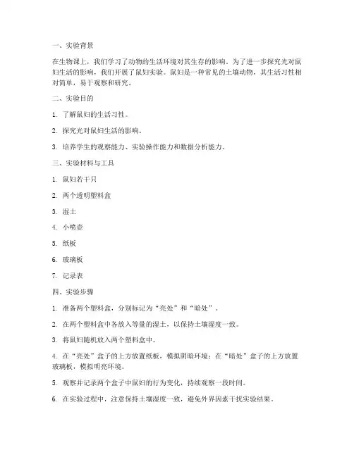 初中鼠妇实验报告