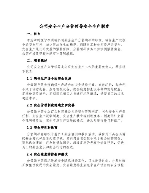 公司安全生产分管领导安全生产职责