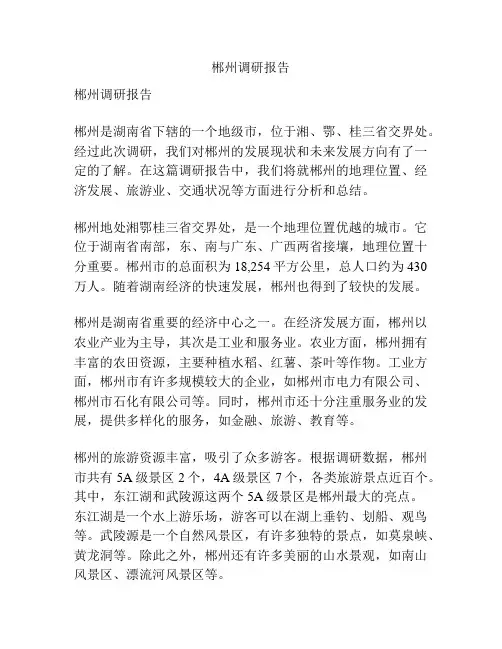郴州调研报告