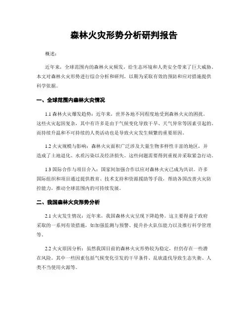 森林火灾形势分析研判报告