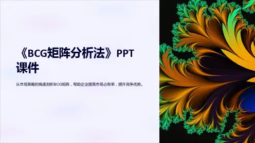 《BCG矩阵分析法》课件