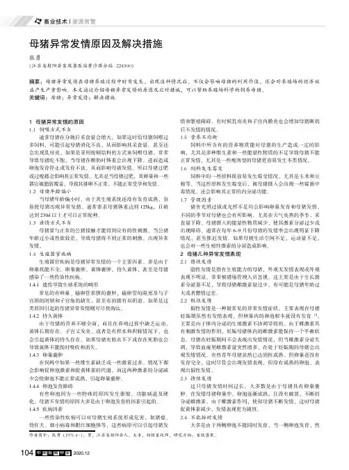 母猪异常发情原因及解决措施