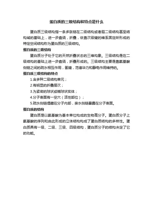 蛋白质的三级结构和特点是什么