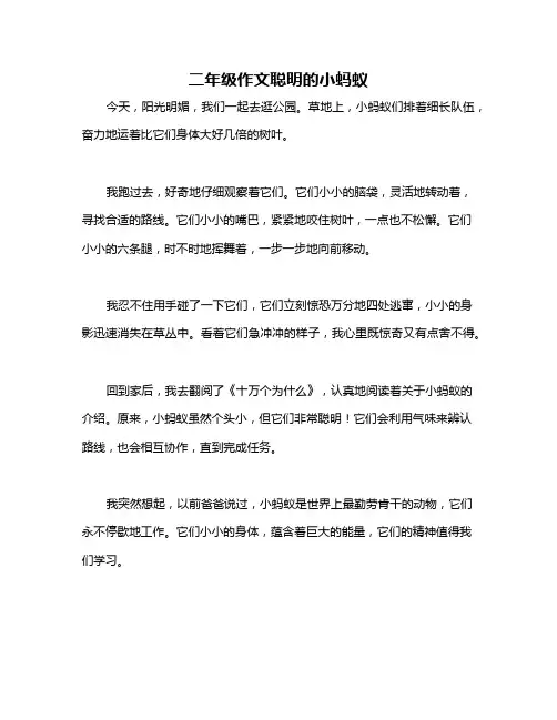 二年级作文聪明的小蚂蚁