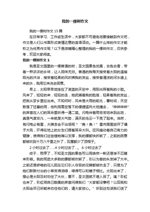 我的一棵树作文