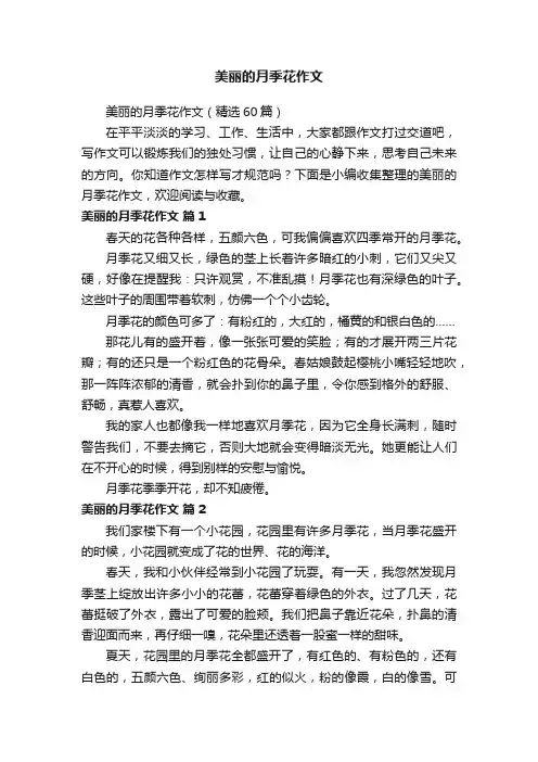 美丽的月季花作文（精选60篇）