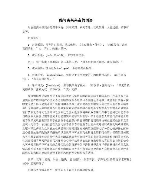 描写高兴兴奋的词语