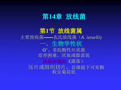医学微生物学PPT医学课件