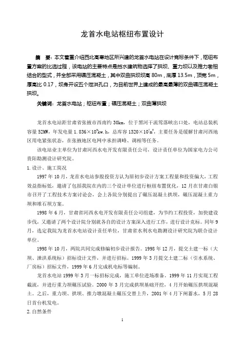 龙首水电站枢纽布置设计