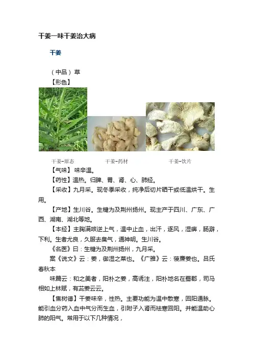 干姜一味干姜治大病