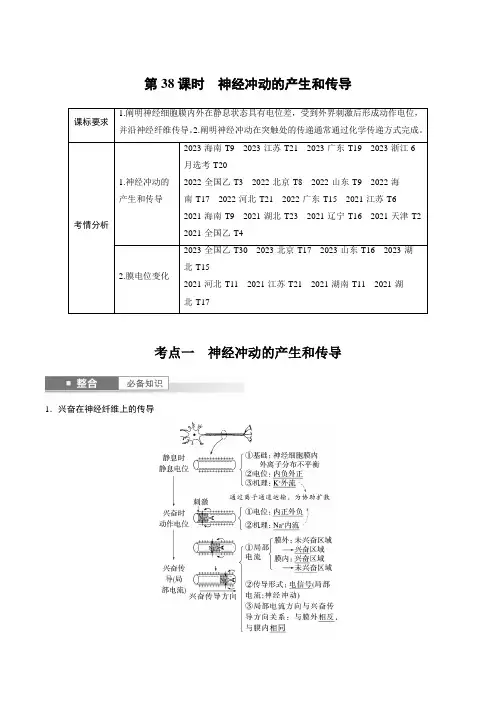 2025年高考生物一轮复习考点梳理第38课时神经冲动的产生和传导