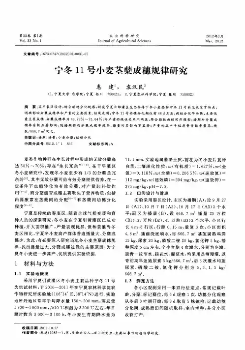 宁冬11号小麦茎蘖成穗规律研究