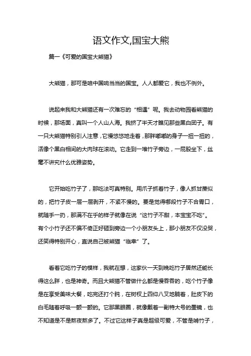 语文作文,国宝大熊