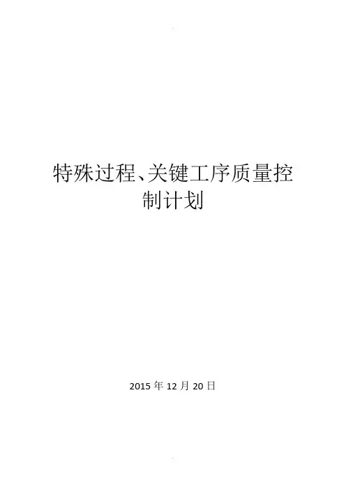 特殊过程关键工序控制计划