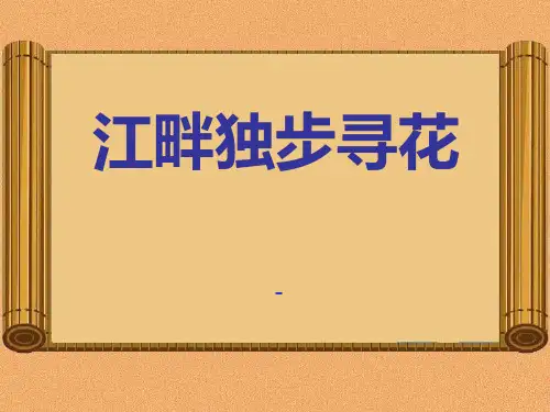 202X语文A版语文二上《江畔独步寻花》ppt课件