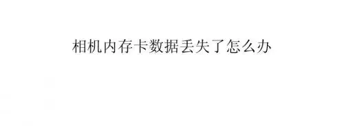 相机内存卡数据丢失了怎么办