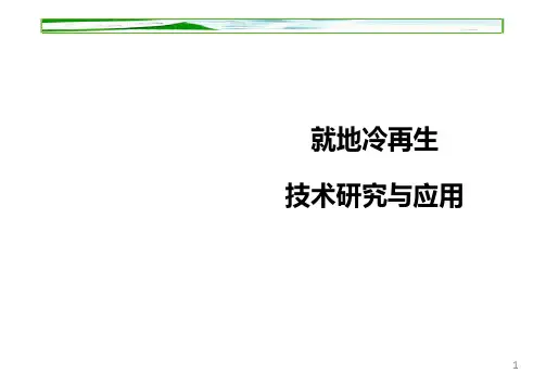 沥青路面就地冷再生技术研究与应用 PPT课件