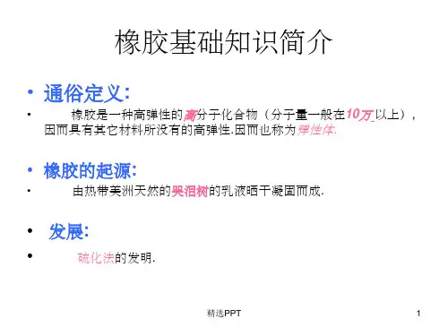 《橡胶基础知识简介》PPT课件