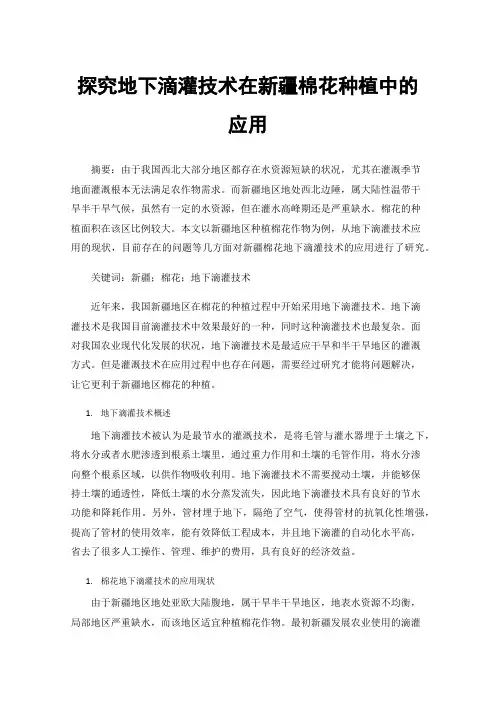 探究地下滴灌技术在新疆棉花种植中的应用