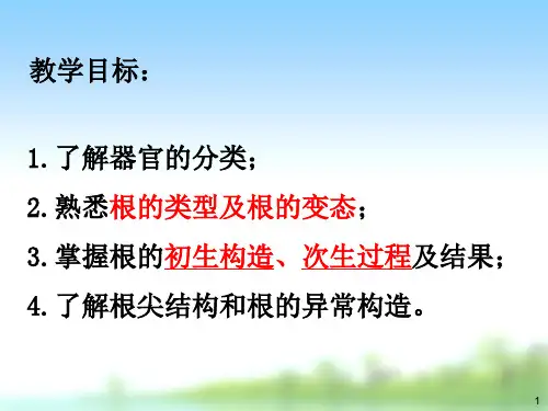 药用植物学课件 根