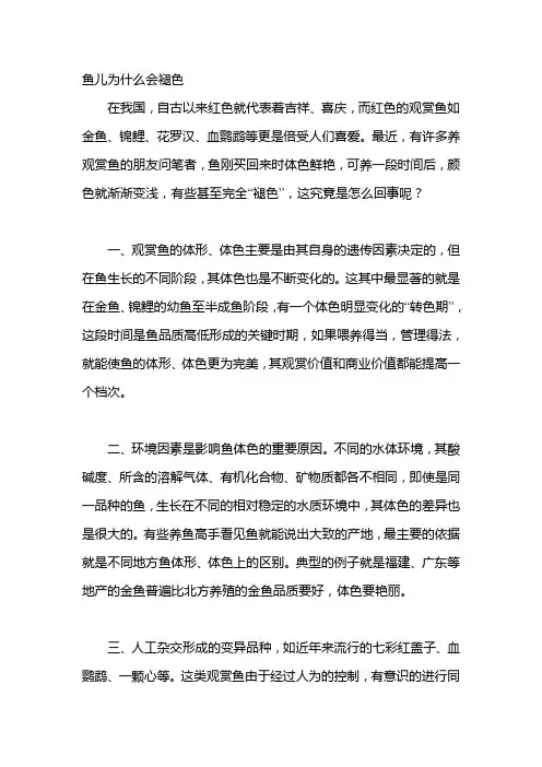鱼儿为什么会褪色