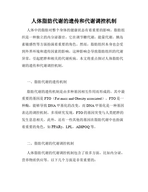 人体脂肪代谢的遗传和代谢调控机制