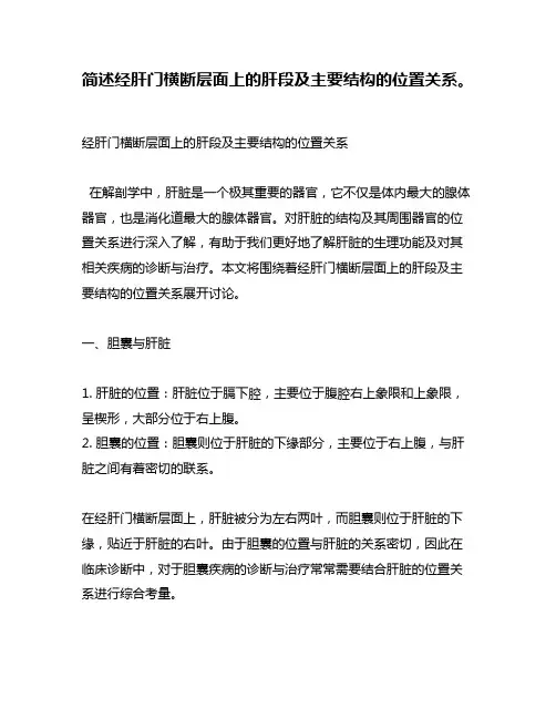 简述经肝门横断层面上的肝段及主要结构的位置关系。