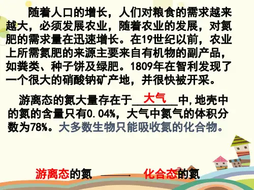 氨的合成  完整版课件