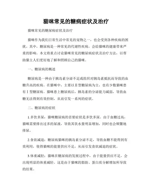 猫咪常见的糖病症状及治疗