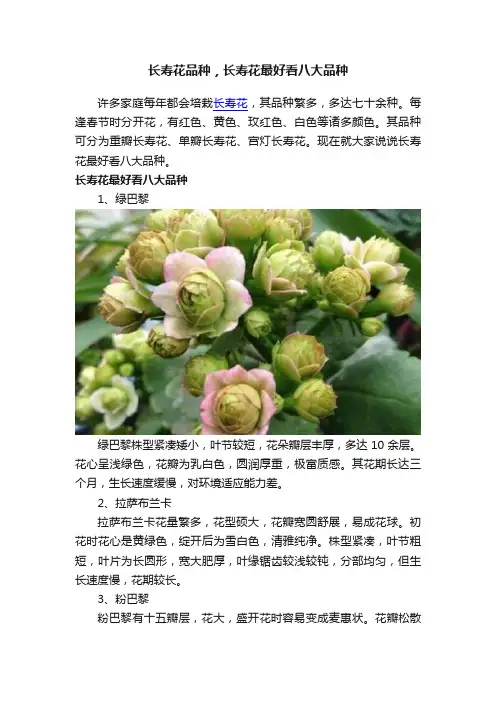 长寿花品种，长寿花最好看八大品种