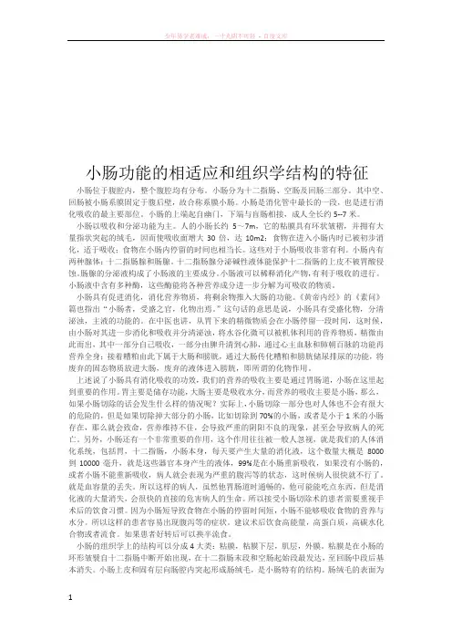 小肠功能相适应和组织学结构的特征