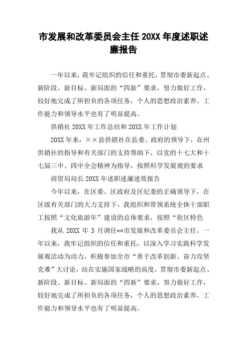 市发展和改革委员会主任20XX年度述职述廉报告