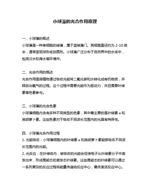 小球藻的光合作用原理
