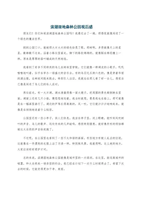滨湖湿地森林公园观后感