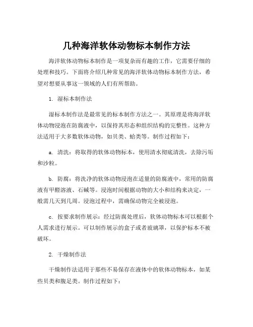 几种海洋软体动物标本制作方法