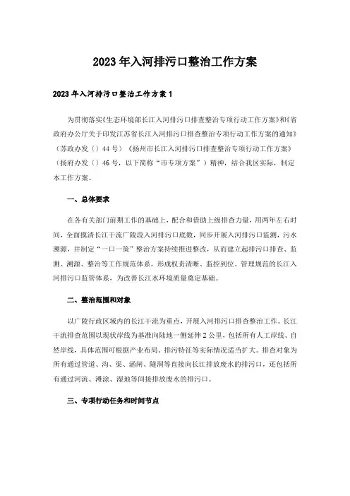 2023年入河排污口整治工作方案